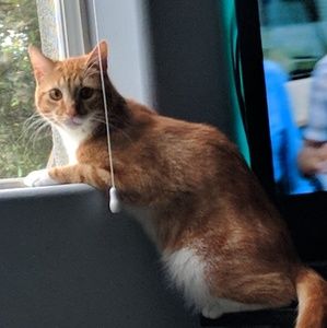 Meet your Posher, Radhi